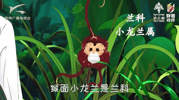 小龙携全新战术归来，DOTA2赛事格局迎来巨变